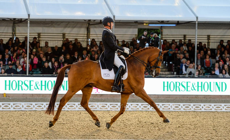 Come and see us at the Royal Windsor Horse Show