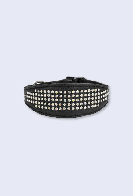 Judi Manche Zoof Dog Collar