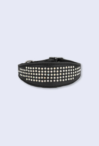 Judi Manche Sam Dog Collar