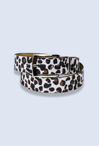 Judi Manche Zoof Dog Collar